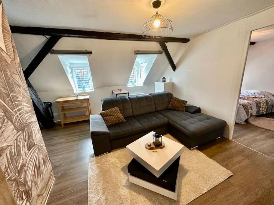 Logement Entier Au Coeur De Strasbourg Exterior photo